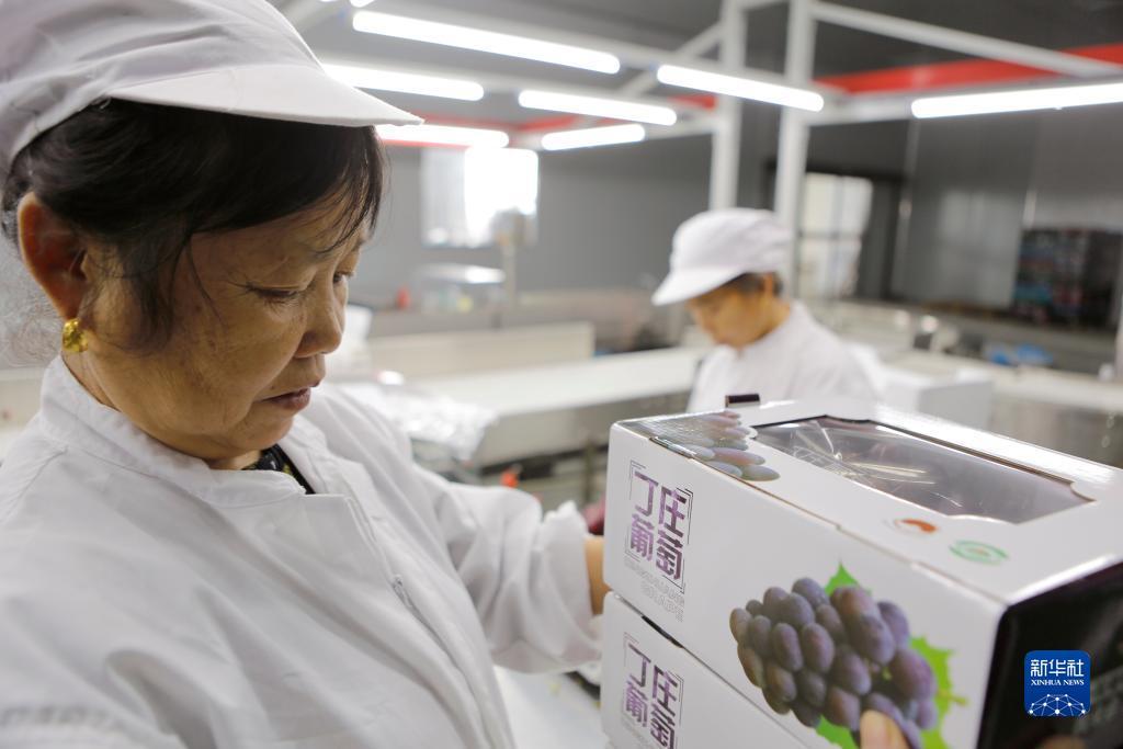 澳门新永利游戏